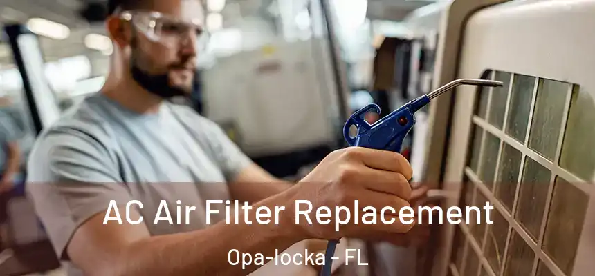 AC Air Filter Replacement Opa-locka - FL