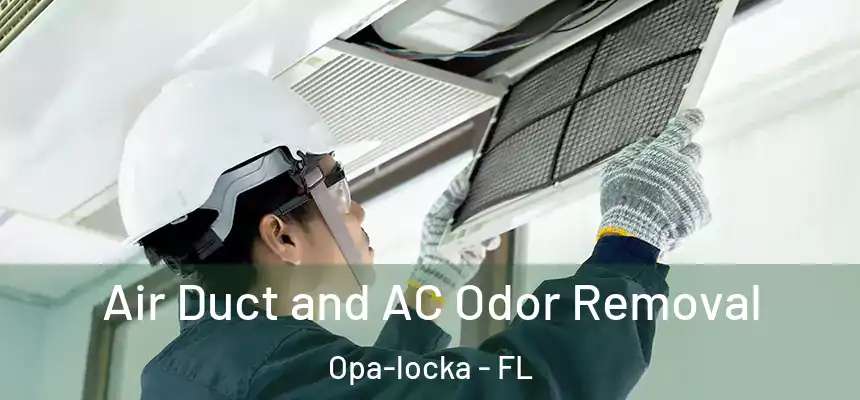  Air Duct and AC Odor Removal Opa-locka - FL