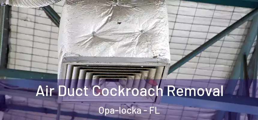  Air Duct Cockroach Removal Opa-locka - FL