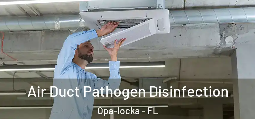 Air Duct Pathogen Disinfection Opa-locka - FL