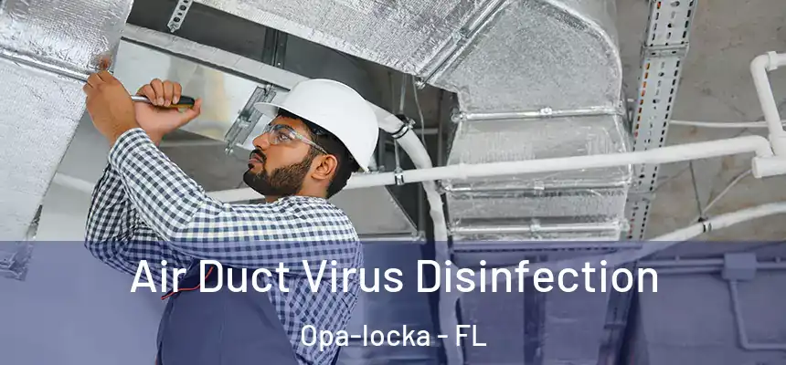 Air Duct Virus Disinfection Opa-locka - FL