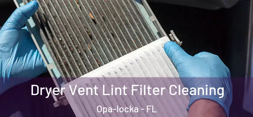 Dryer Vent Lint Filter Cleaning Opa-locka - FL