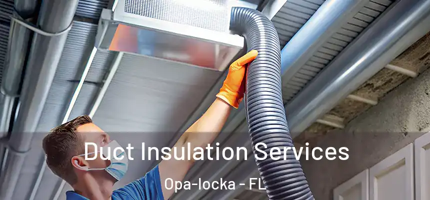  Duct Insulation Services Opa-locka - FL