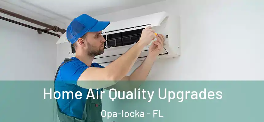 Home Air Quality Upgrades Opa-locka - FL
