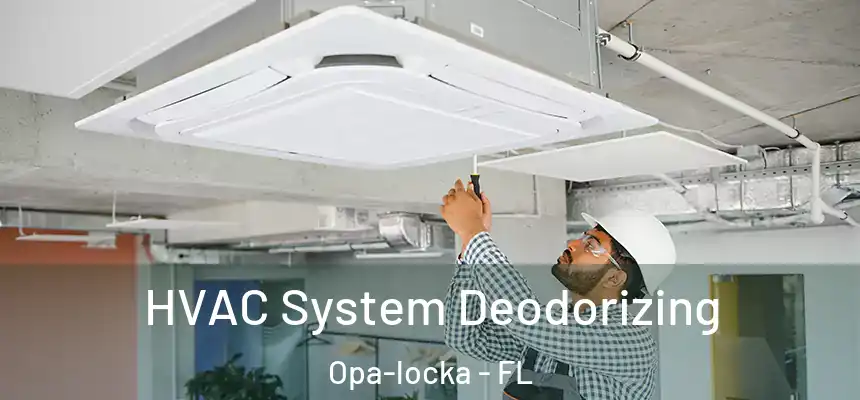 HVAC System Deodorizing Opa-locka - FL