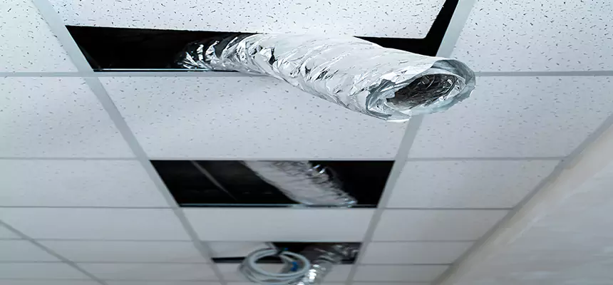 Affordable HVAC Sanitizing After Pest Removal in Opa-locka