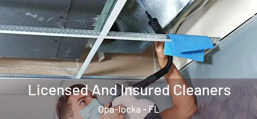 Licensed And Insured Cleaners Opa-locka - FL