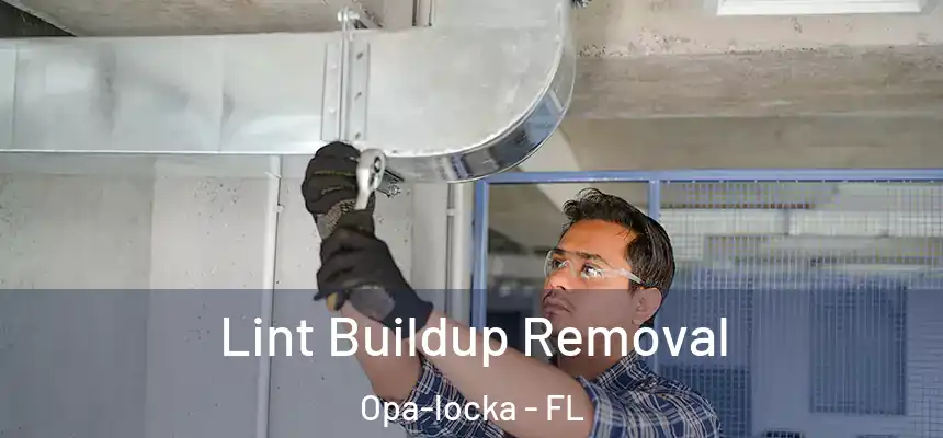 Lint Buildup Removal Opa-locka - FL
