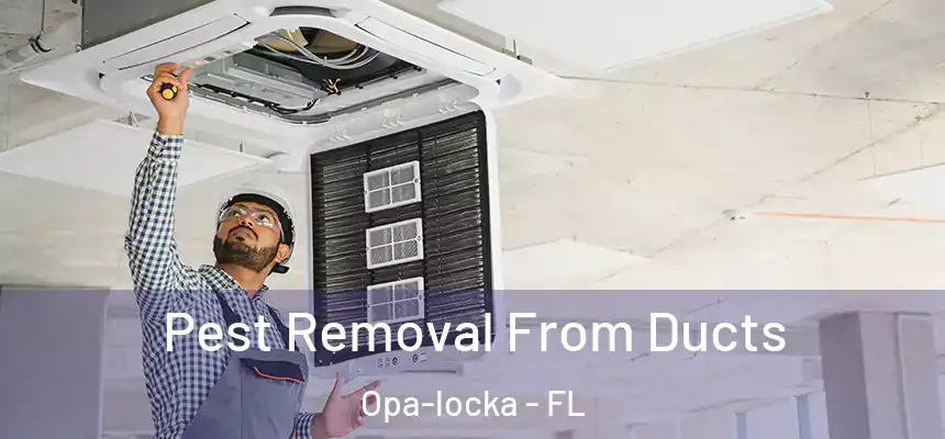 Pest Removal From Ducts Opa-locka - FL