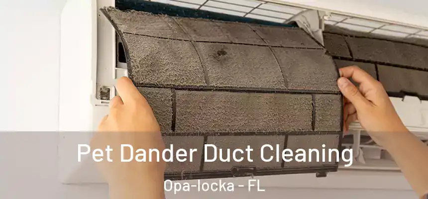  Pet Dander Duct Cleaning Opa-locka - FL