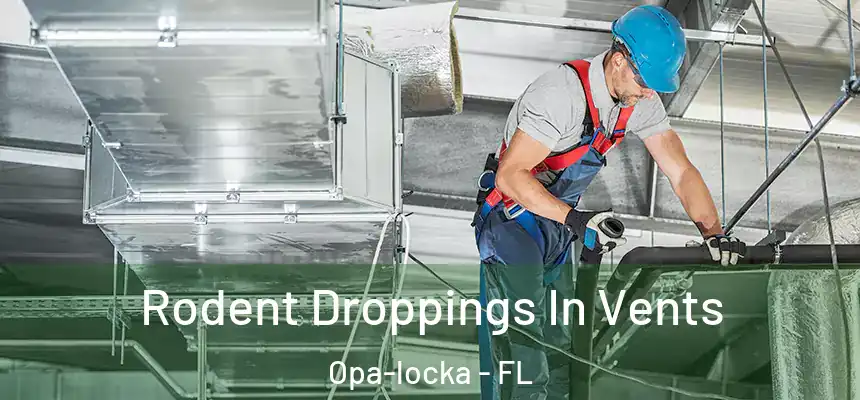 Rodent Droppings In Vents Opa-locka - FL