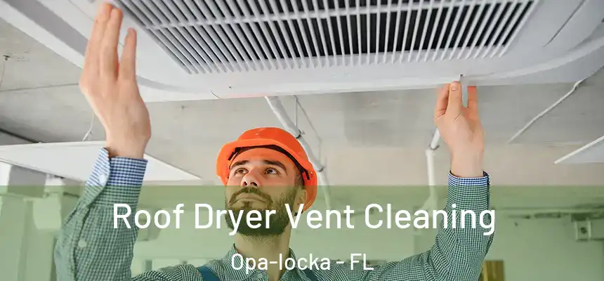 Roof Dryer Vent Cleaning Opa-locka - FL