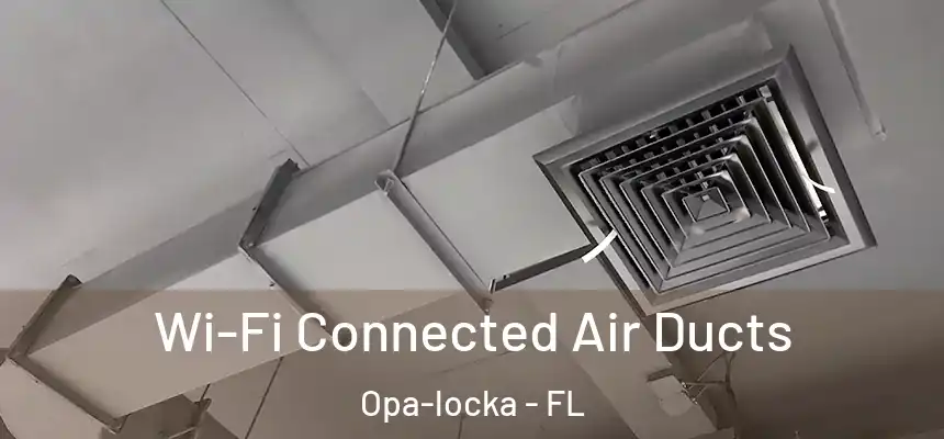 Wi-Fi Connected Air Ducts Opa-locka - FL